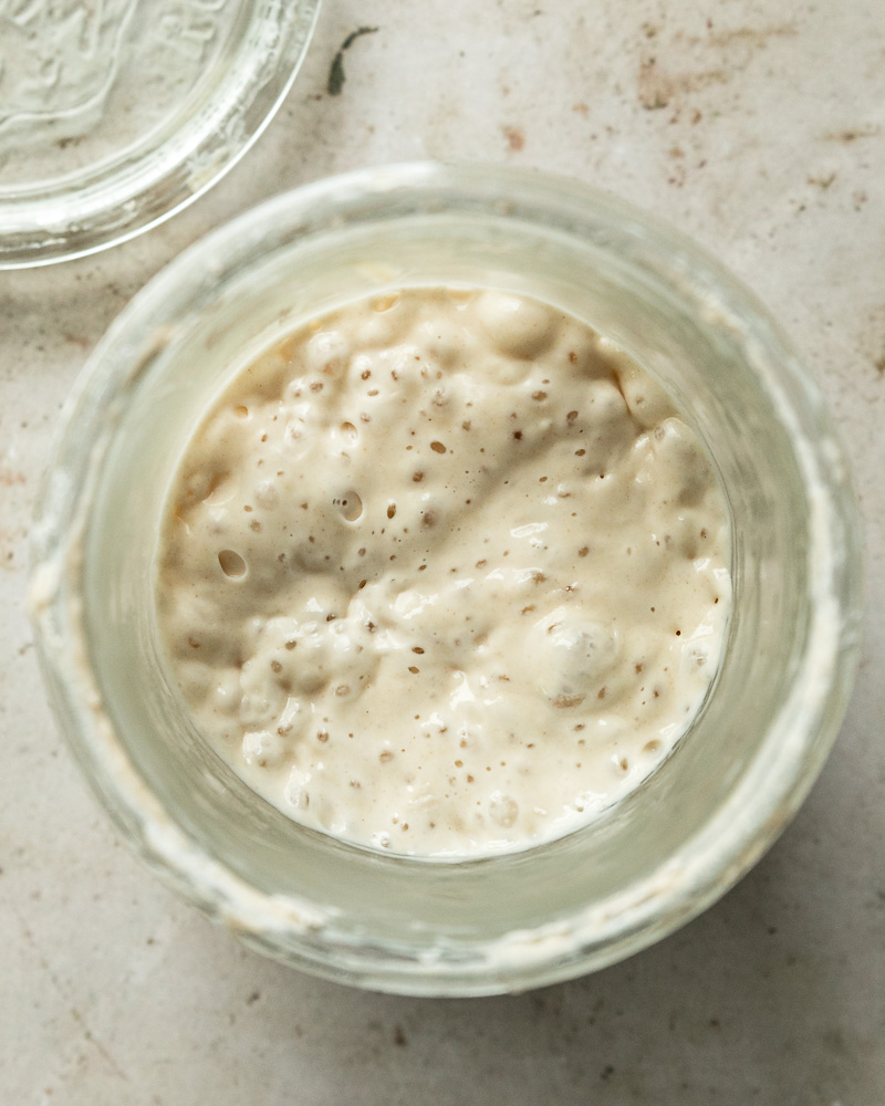 bubbly 100% all purpose flour sourdough starter in glass jar