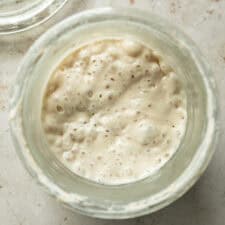 Easy Beginner Sourdough Starter Recipe-image