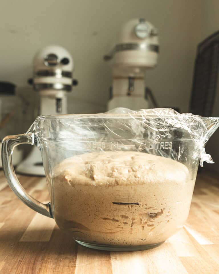 Sourdough Rye Bread - Wild Thistle Kitchen