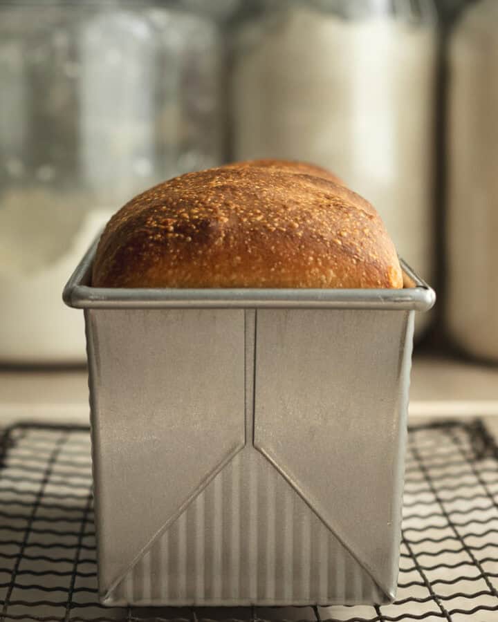 Sourdough Sandwich Bread (stand mixer no stretch & fold)