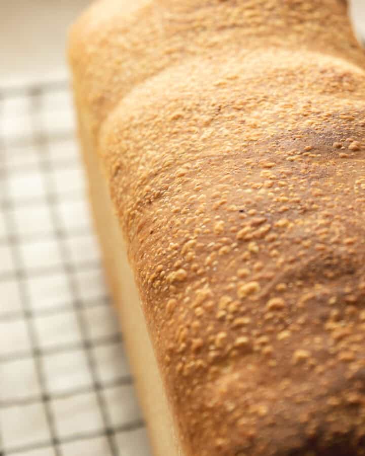 Sourdough Sandwich Bread (stand mixer no stretch & fold)
