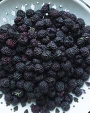 Black Raspberry Ice Cream - wild thistle kitchen