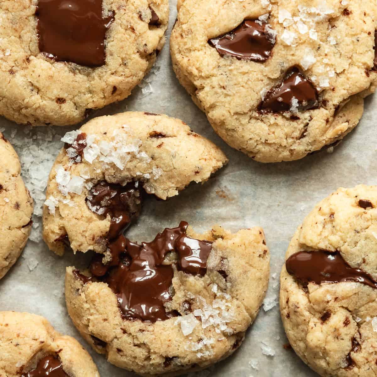 Sourdough Discard Chocolate Chip Cookies - Wild Thistle Kitchen