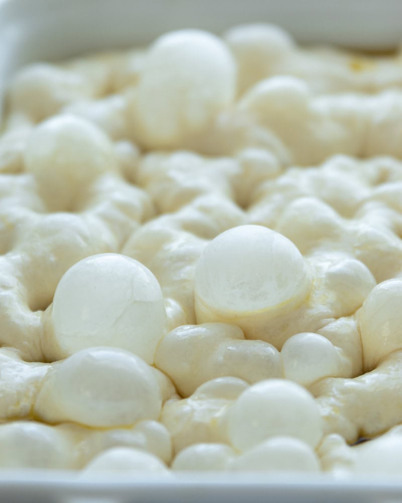 bubbly focaccia dough in white pan