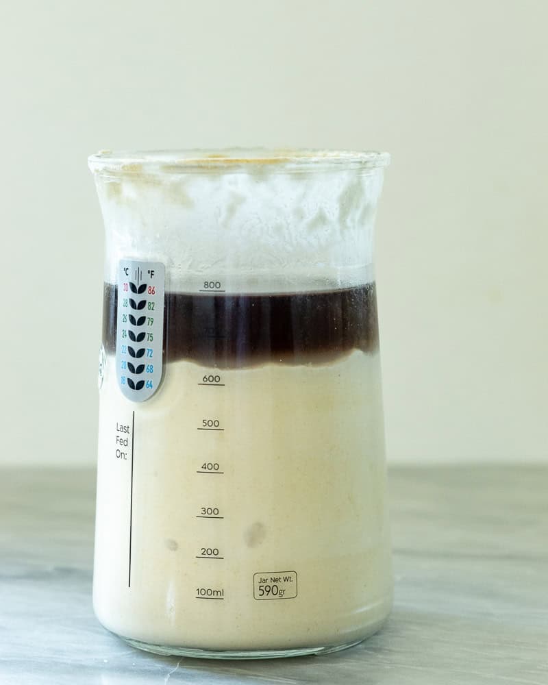 a jar of sourdough starter with a layer of dark hooch on top