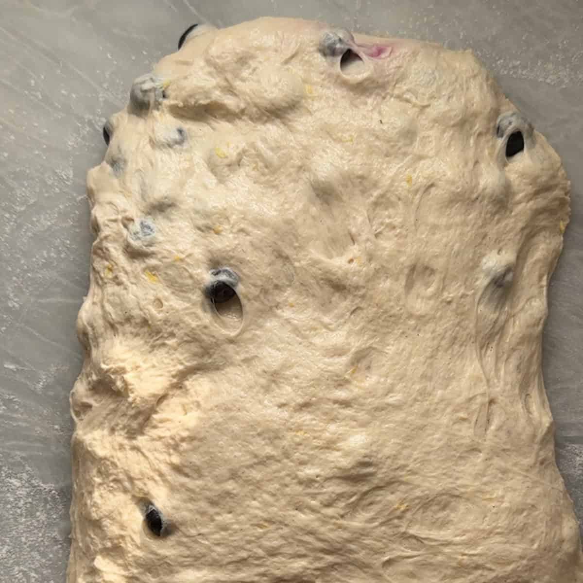 dough stretched out into a rectangle onto floured surface