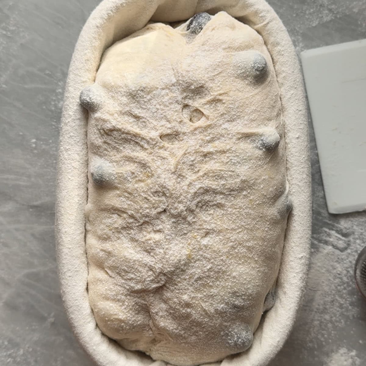 dough placed in banneton basket seam side up