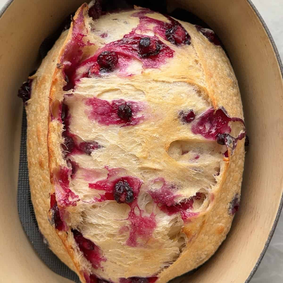 sourdough bread after baking for 30 minutes covered