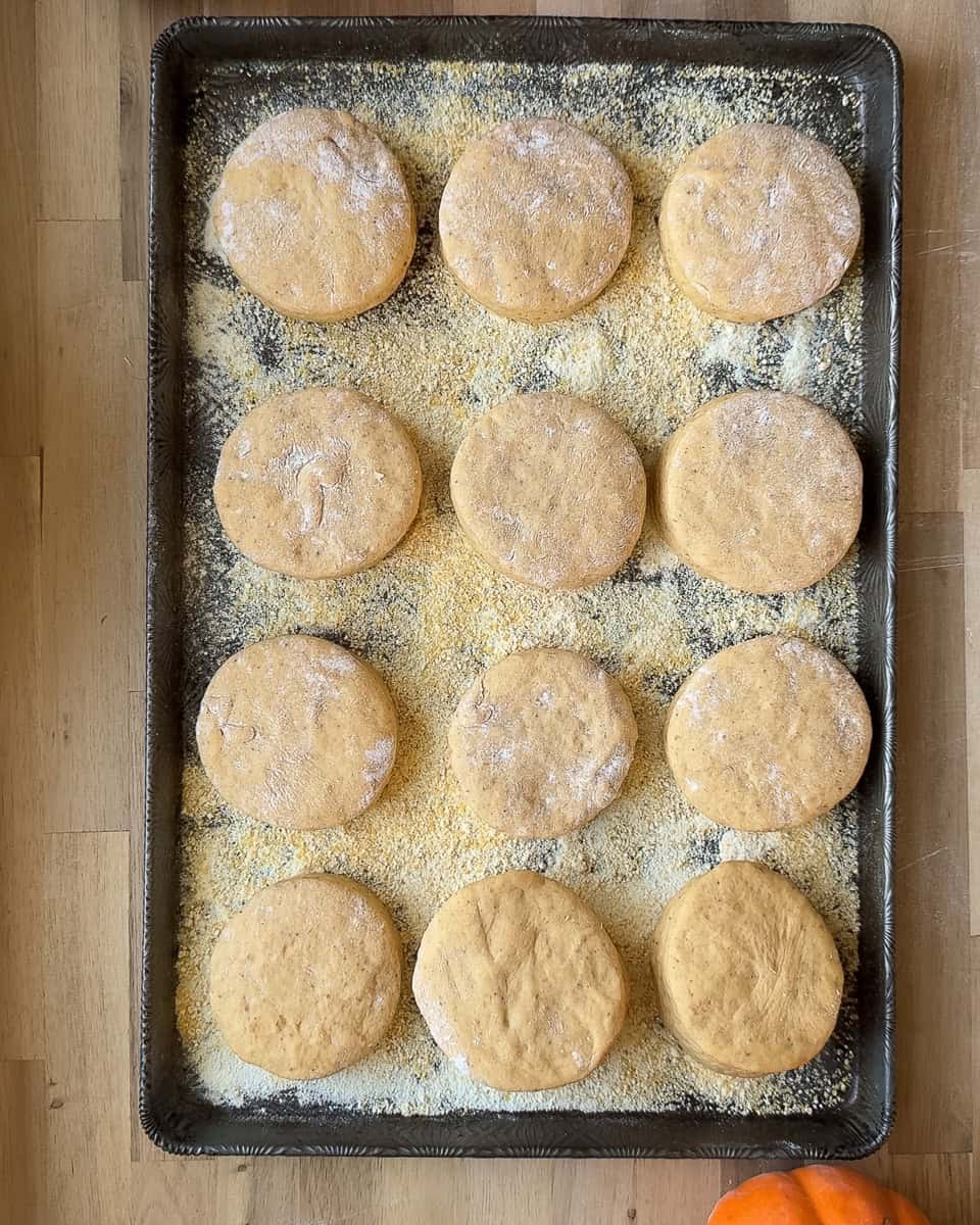 Twelve rounds of dough on baking tray that has been sprinkled with cornmeal